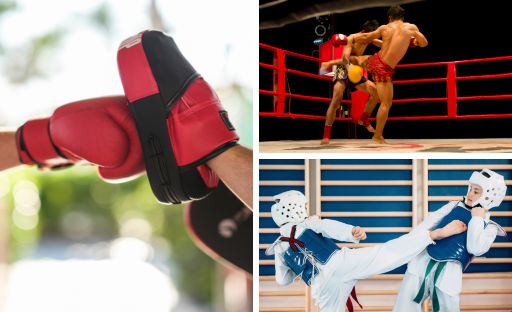 COMBAT SPORTS