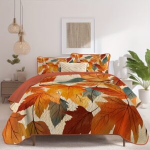 product fancy 4377d939 9a36 4a5a 82df 988cad52b2d4