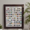 product fancy 91dfaf57 fd64 4e9b 9043 266c646cc514
